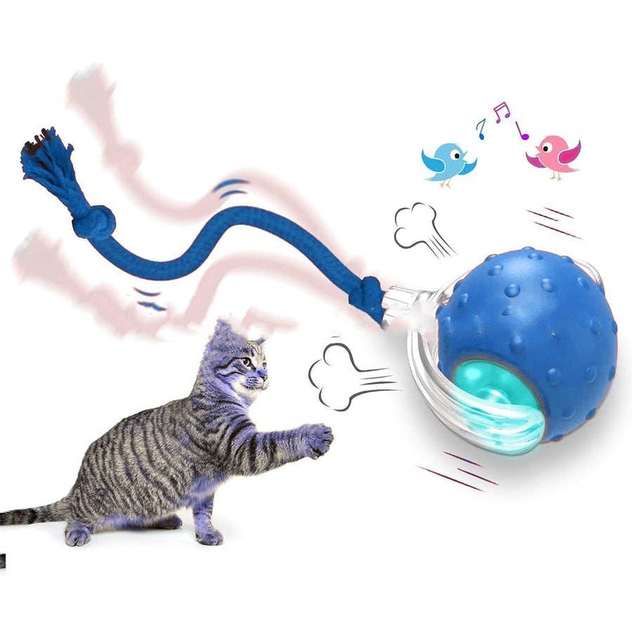 Smart Rolling Cat Toy Ball with Tail